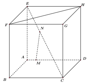 A diagram of a cube with lines and points

AI-generated content may be incorrect.