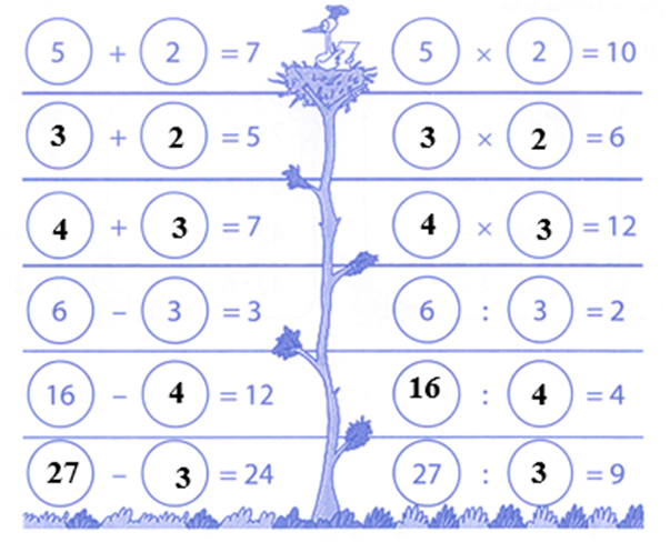 Số? (Theo mẫu) (ảnh 2)