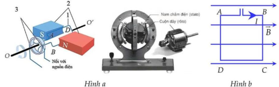 Một trong những ứng dụng quang trọng của lực từ tác dụng lên khung dây có dòng điện là động cơ điện. Hình vẽ bên là cấu tạo của động cơ điện một chiều (Hình a). Khung dây hình chữ nhật ABCD (ảnh 1)