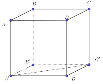 Cho hình lập phương \[ABCD.A'B'C'D'\] cạnh bằng \[a\]. Tích vô hướng của hai vectơ \[\overrightarrow {DD'} \] và \[\overrightarrow {A'C'} \] bằng (ảnh 1)