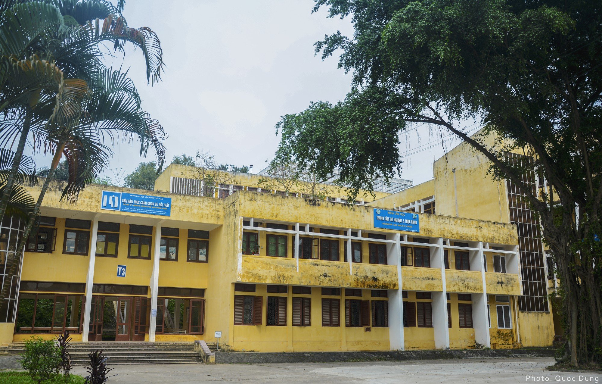 Đây là Đại học duy nhất ở Việt Nam có 1 khu rừng tuyệt đẹp ngay trong khuôn  viên trường, tha hồ sống ảo - Trường Đại học Lâm nghiệp