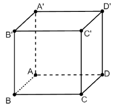 Cho hình lập phương \[ABCD.A'B'C'D'\]. Vectơ có điểm đầu và điểm cuối là các đỉnh của hình lập phương \[ABCD.A'B'C'D'\] và bằng vectơ \(\overrightarrow {AD} \) là (ảnh 1)