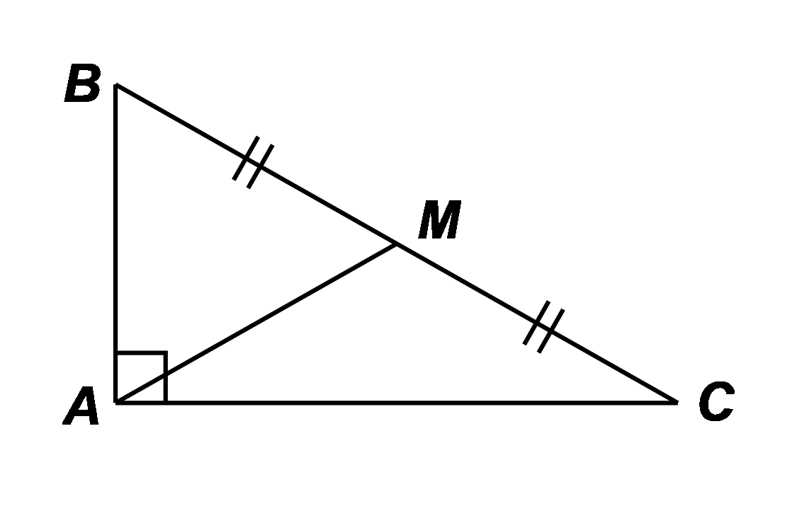 Cho  Δ A B C  vuông tại  A ,  trung tuyến  A M = 5 c m .  Độ dài  B C  là (ảnh 1)
