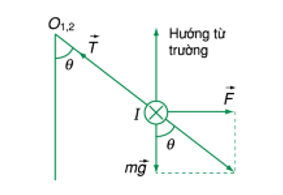 Khi nằm cân bằng góc lệch của dây treo so với phương thẳng đứng là (ảnh 1)