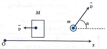 Tốc độ của viên đạn lúc rời nòng súng bằng (ảnh 1)