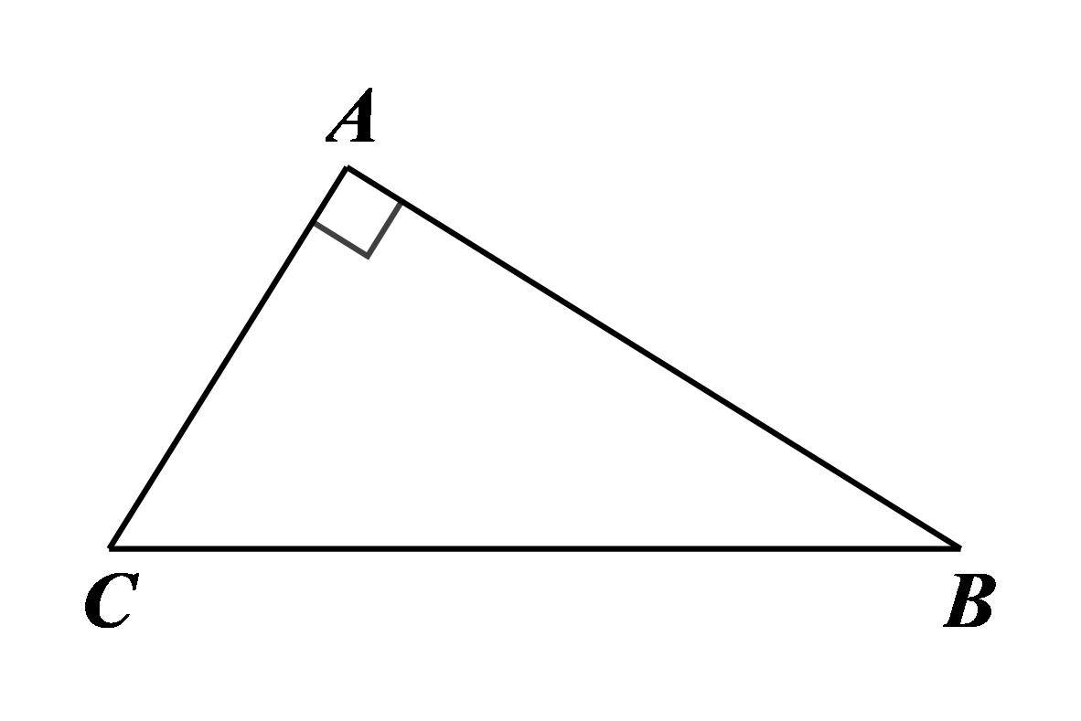 VVVVV (ảnh 1)
