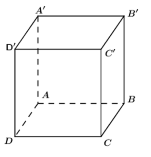 Cho hình hộp \[ABCD.A'B'C'D'\]. Vectơ nào dưới đây cùng phương với vectơ \[\overrightarrow {AB} \]? 	A. \[\overrightarrow {CD} \]. 	B. \[\overrightarrow {B'C'} \] .	C. \[\overrightarrow {AD} \].	D. \[\overrightarrow {AC'} \].  (ảnh 1)
