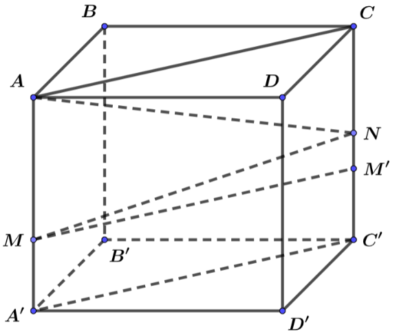 Cho hình lập phương \[ABCD.A\prime B\prime C\prime D\prime \] có cạnh bằng \[a\]. Trên các cạnh \[AA\prime \], \[CC\prime \] lần lượt lấy các điểm \[M\], \[N\] sao cho \[AM = \frac{2}{3}AA\prime \], \[CN = NC\prime \]. Các mệnh đề sau đúng hay sai  ? (ảnh 1)