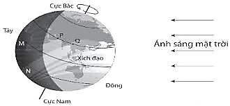 Trong các phát biểu sau, phát biểu nào đúng, phát biểu nào sai? (ảnh 1)