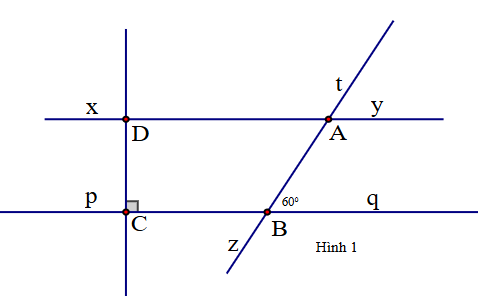 Xét tính đúng sai của các khẳng định dưới đây. (ảnh 1)