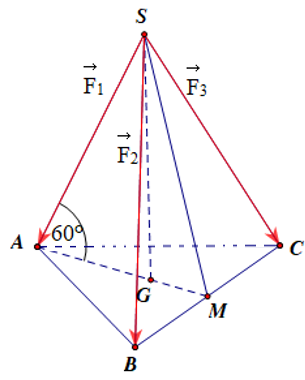 Hỏi độ lớn của lực \(\overrightarrow {{F_1}} \) là bao nhiêu newton (làm tròn đến hàng phần chục)? (ảnh 2)