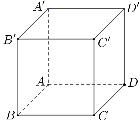 Cho hình lập phương \[ABCD.A'B'C'D'\] có cạnh bằng \[2\]. Tính \(\overrightarrow {AB} .\overrightarrow {A'C'} \). (ảnh 1)