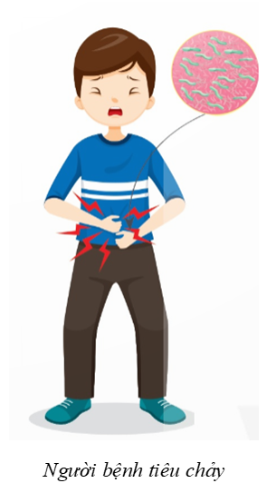Trong các phát biểu sau, phát biểu nào đúng, phát biểu nào sai? (ảnh 1)