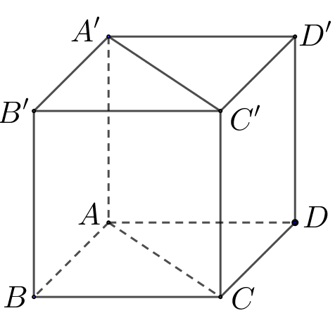 Cho hình lập phương \[ABCD.A'B'C'D'\] có cạnh bằng \[2\]. Tính \(\overrightarrow {AB} .\overrightarrow {A'C'} \). (ảnh 2)