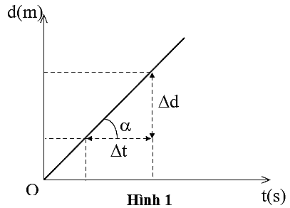 VVV (ảnh 1)