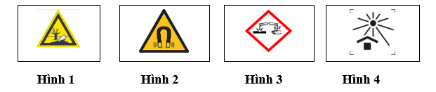 Biển báo cảnh báo chất độc với môi trường là (ảnh 1)