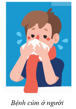 Trong các phát biểu sau, phát biểu nào đúng, phát biểu nào sai? (ảnh 1)