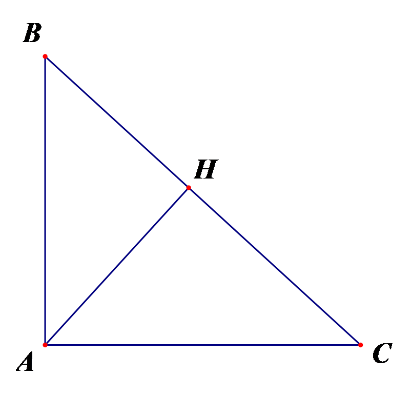 Cho tam giác ABC vuông tại A và có hai cạnh AB = 7, AC = 10 (ảnh 1)