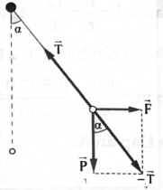 Nếu lấy g = 10 m/s^2 thì góc lệch  của dây treo so với phương thẳng đứng là (ảnh 1)
