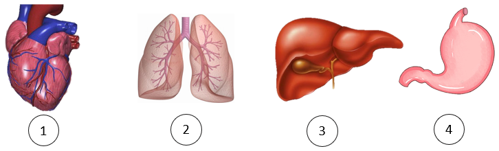 Trong các phát biểu sau, phát biểu nào đúng, phát biểu nào sai? (ảnh 1)