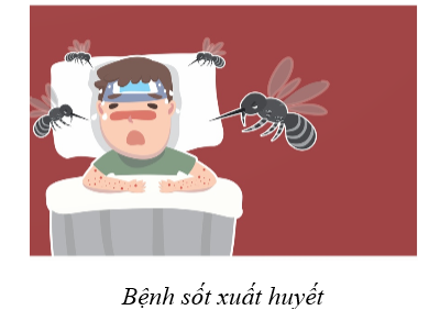 Trong các phát biểu sau, phát biểu nào đúng, phát biểu nào sai? (ảnh 1)