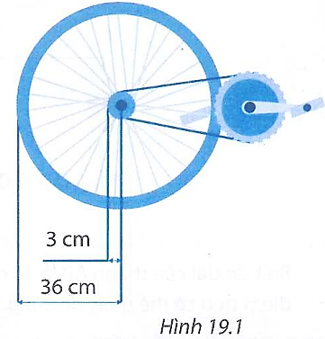 Một xe đạp có bán kính líp xe là 3 cm, bán kính bánh xe là 36 cm (hình 19.1). Phát biểu nào dưới đây là đúng? (ảnh 1)