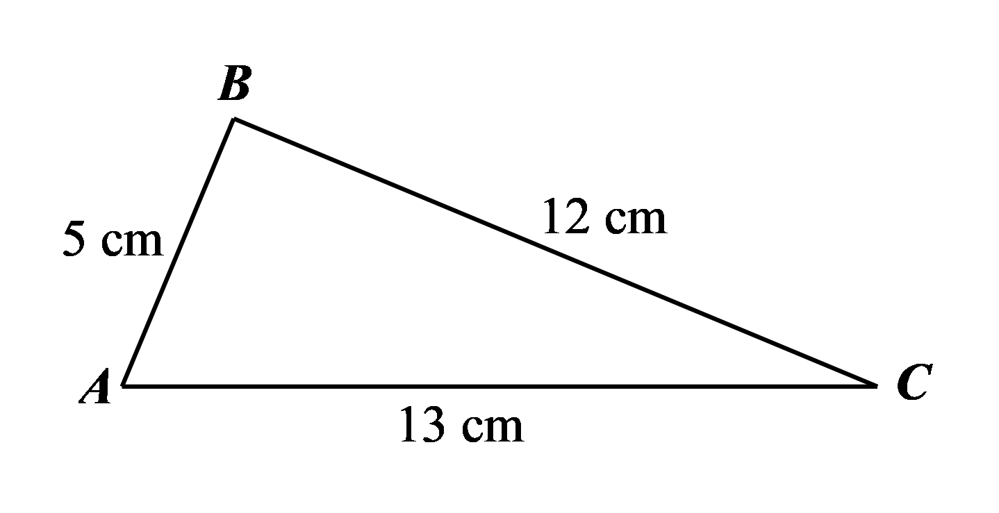 VVVVVVV (ảnh 1)
