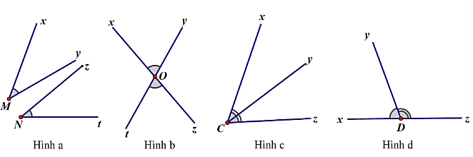 Trong các hình sau, hình nào có tia phân giác?    (ảnh 1)