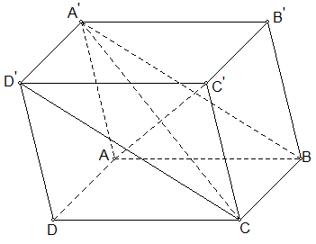 Cho hình hộp \[ABCD.A'B'C'D'\]. Vectơ \[\overrightarrow u  = \overrightarrow {A'A}  + \overrightarrow {A'B'}  + \overrightarrow { (ảnh 1)