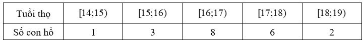 Nhóm chứa tứ phân vị thứ ba là (ảnh 1)