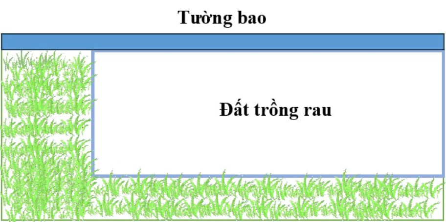 Hỏi bác có thể vây kín được phần đất trồng rau có diện tích lớn nhất là bao nhiêu mét vuông? (ảnh 1)