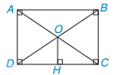 vvvvvvvv (ảnh 1)