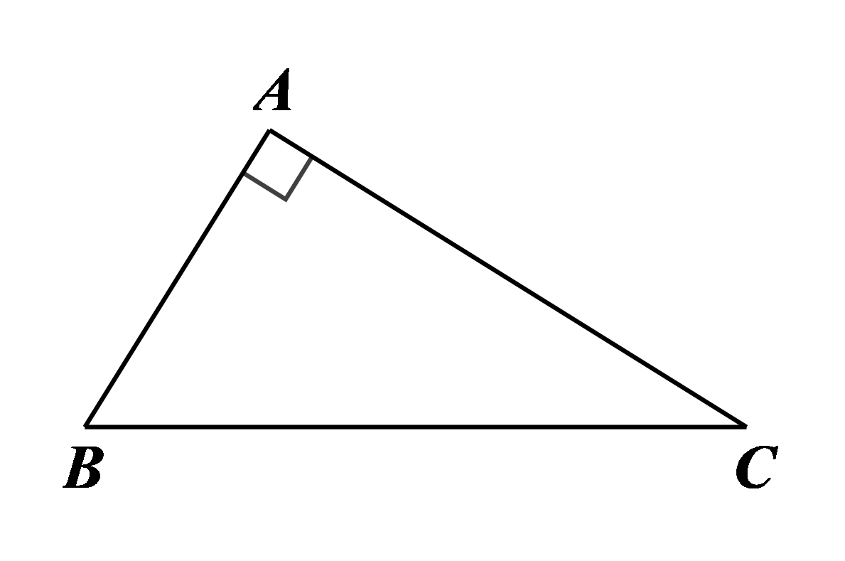 cccccc (ảnh 1)