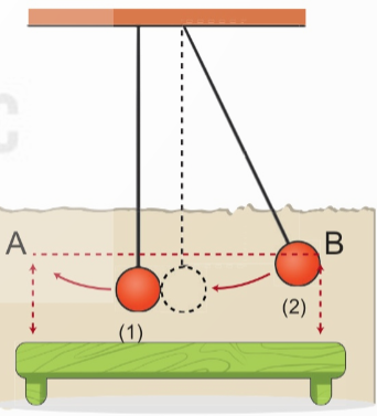 Trong các phát biểu sau, phát biểu nào đúng, phát biểu nào sai? (ảnh 1)