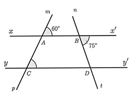 Có \(\widehat {ABD}\) và \(\widehat {DBx'}\) là hai góc kề bù. (ảnh 1)