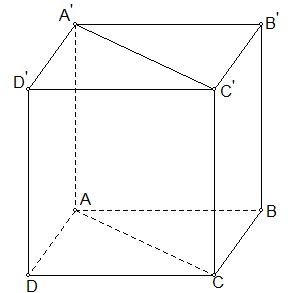 Cho lập phương \[ABCD.A'B'C'D'\]có độ dài mỗi cạnh bằng 1. Tính độ dài của vectơ \[\overrightarrow {AC}  + \overrightarrow {C'D'} \]. (ảnh 1)