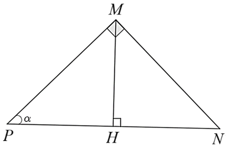 vvvvv (ảnh 1)