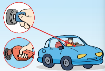 Trong các phát biểu sau, phát biểu nào đúng, phát biểu nào sai? (ảnh 1)