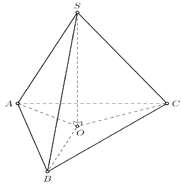 Tính trọng lượng tối đa của các chậu hoa để dây treo không bị đứt (đơn vị Newton, kết quả làm tròn đến hàng phần chục). (ảnh 2)