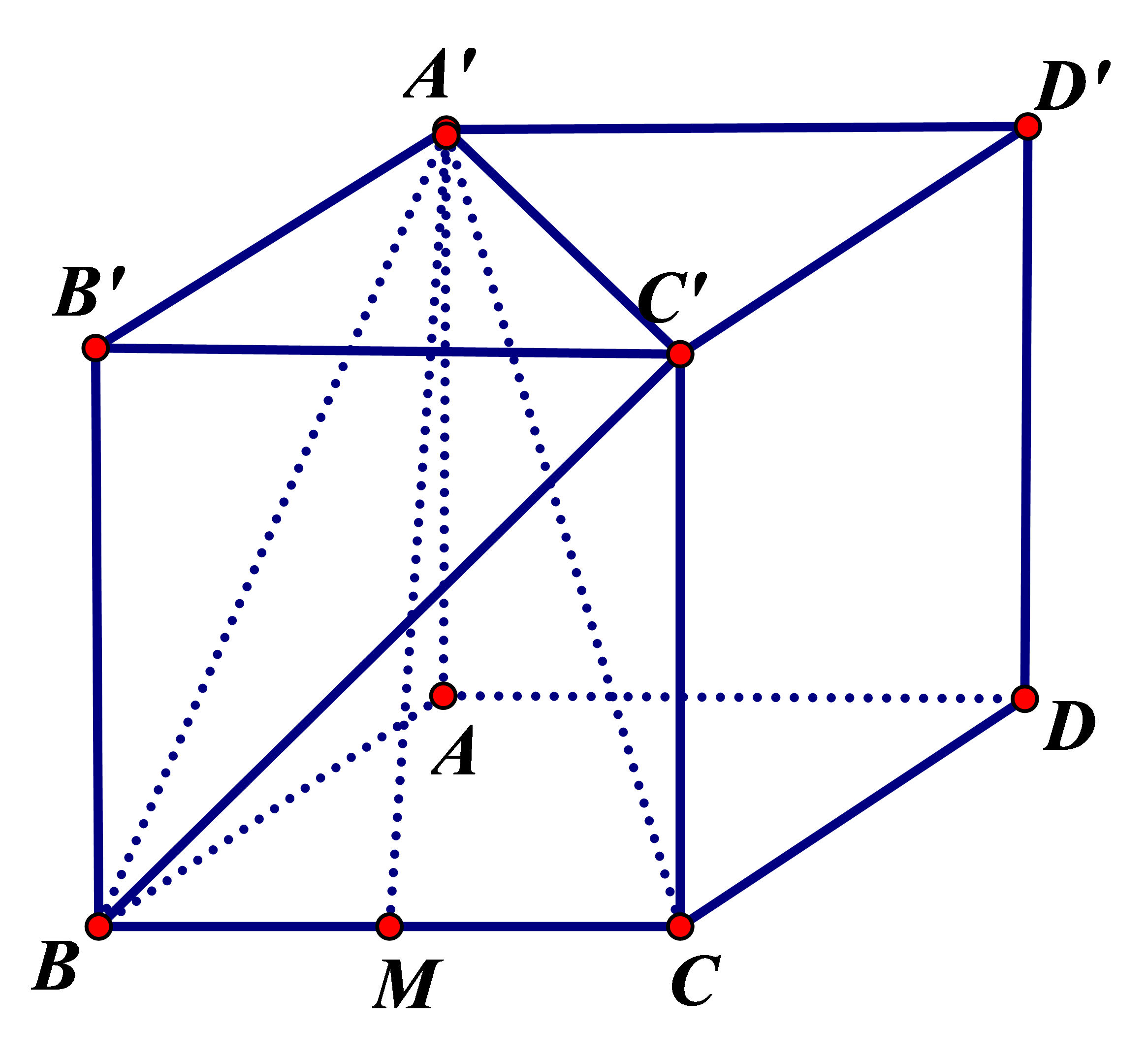 Cho hình lập phương \(ABCD.A'B'C'D'\) có cạnh bằng \(a\). Đặt \(\overrightarrow {AB}  = \overrightarrow x ;\,\overrightarrow {AD}  = \overrightarrow y ;\,\overrightarrow {AA'}  = \overrightarrow z \). Xét tính đúng sai của các mệnh đề sau đây: (ảnh 1)