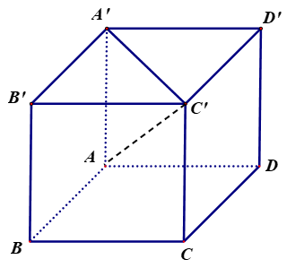Cho hình lập phương \(ABCD.A'B'C'D'\) cạnh \(a\). Tính độ dài véctơ \(\overrightarrow x  = \overrightarrow {A'C'}  - \overrightarrow {A'A} \) theo \(a\)? A. \(a\sqrt 2 \).	B. \(\frac{{a\sqrt 3 }}{2}\).	C. \(a\sqrt 6 \).	D. \(a\sqrt 3 \). (ảnh 1)