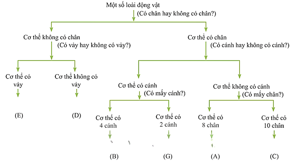 Trong các phát biểu sau, phát biểu nào đúng, phát biểu nào sai? (ảnh 1)