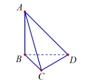 Cho hình tứ diện ABCD.  a) Các điểm A; B; C: D là các đỉnh của hình tứ diện ABCD. (ảnh 1)