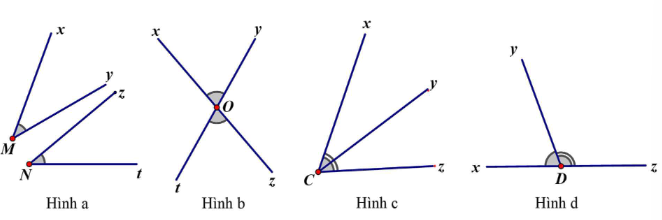 Trong các hình sau, hình nào có tia phân giác?   (ảnh 1)
