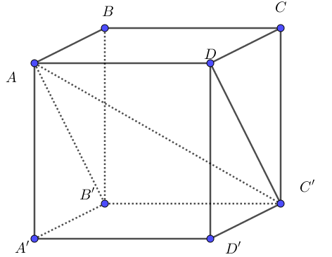 Cho hình hộp \[ABCD.A'B'C'D'\]. Đẳng thức nào dưới đây là đúng? (ảnh 1)