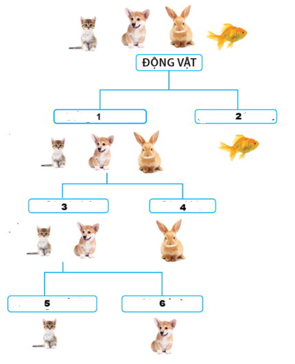 Trong các phát biểu sau, phát biểu nào đúng, phát biểu nào sai? (ảnh 1)