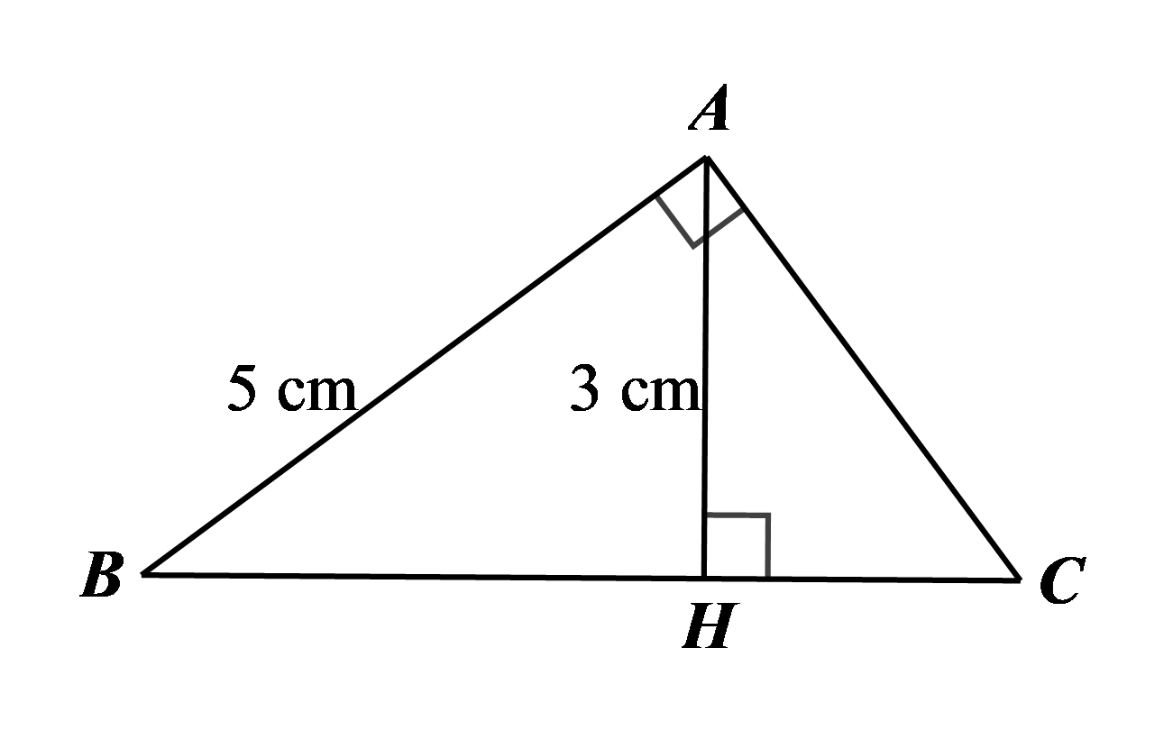 vvvvv (ảnh 1)