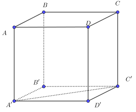 Cho hình lập phương \[ABCD.A'B'C'D'\] cạnh bằng \[a\]. Tích vô hướng của hai vectơ \[\overrightarrow {DD'} \] và \[\overrightarrow {A'C'} \] bằng A. \[\sqrt 2 {a^2}\].		B. \[{a^2}\]. C. \[ - \sqrt 2 {a^2}\].		D. \[0\]. (ảnh 1)