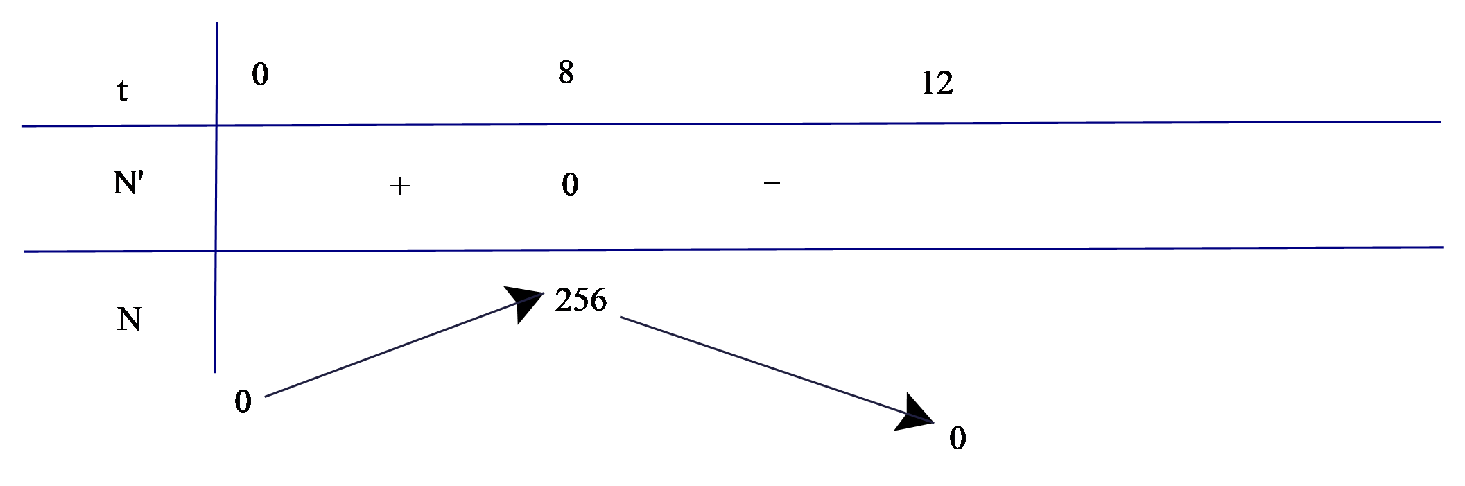 vvvvv (ảnh 1)