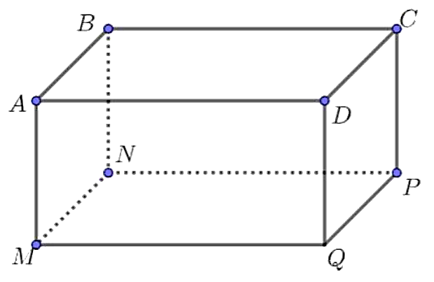 Chiều dài mặt đáy hình hộp là  (ảnh 1)